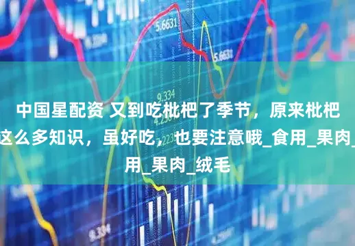 中国星配资 又到吃枇杷了季节，原来枇杷还有这么多知识，虽好吃，也要注意哦_食用_果肉_绒毛