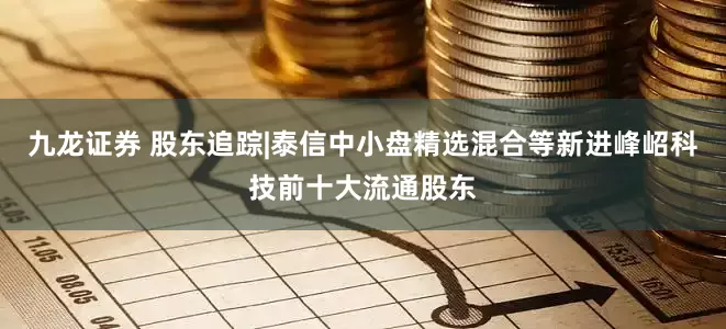九龙证券 股东追踪|泰信中小盘精选混合等新进峰岹科技前十大流通股东