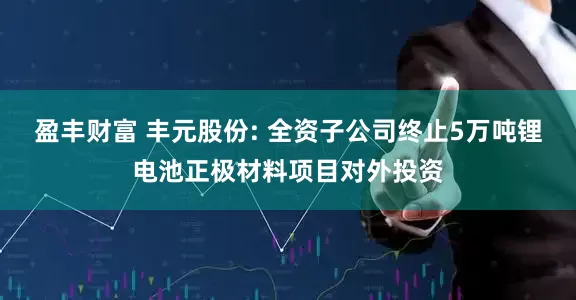 盈丰财富 丰元股份: 全资子公司终止5万吨锂电池正极材料项目对外投资