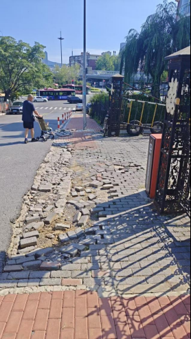 快牛策略 党建引领办实事  修复道路暖民心