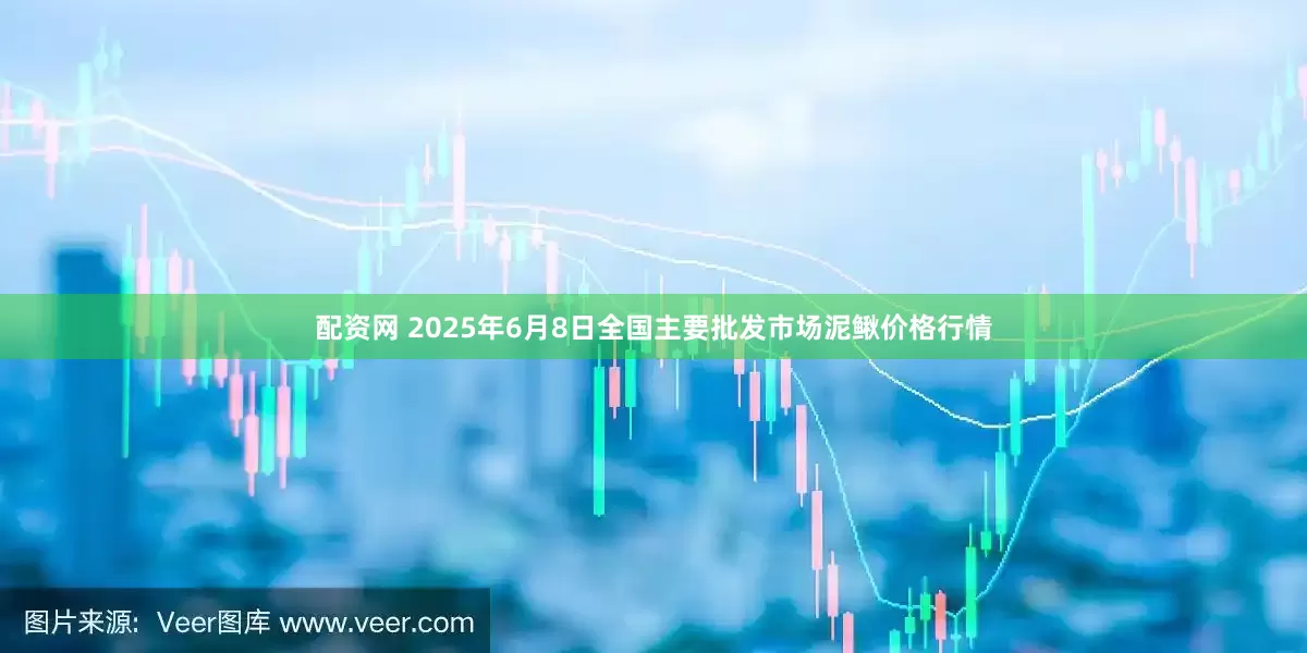 配资网 2025年6月8日全国主要批发市场泥鳅价格行情