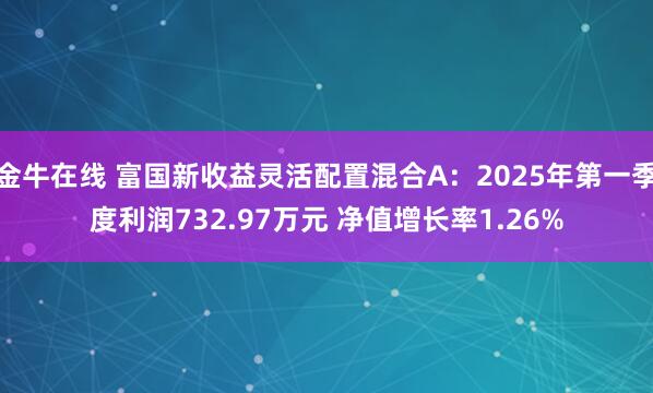 金牛在线 富国新收益灵活配置混合A：2025年第一季度利润732.97万元 净值增长率1.26%